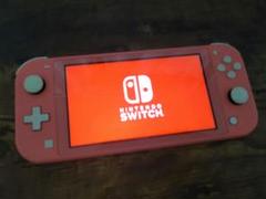 ブランド雑貨総合 2025年最新】ニンテンドースイッチ ライト ジャンクの人気 Nintendo Switch