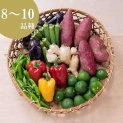 旬の高知野菜詰め合わせ8~10種(クール配送・送料込)