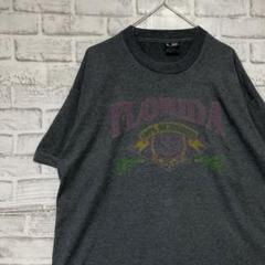 USA製90sヴィンテージTシャツ！シングルステッチ　グレー半袖古着　XL715
