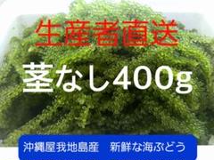 【衝撃価格】鮮度抜群！やんばる産海ぶどう茎付2000g 海ぶどう茎なしセット（ポンズ1本付き） - 沖縄県東村｜ふるさと