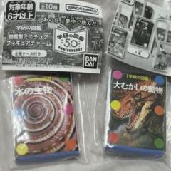 2025年最新】学研図鑑 大むかしの動物の人気アイテム - メルカリ