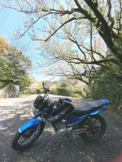 YBR 125K 珍しいヘッドライトカウルモデル! IXILマフラー!
