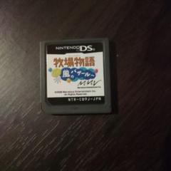 牧場物語 ようこそ!風のバザールへ