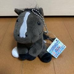 イクイノックス　出資者限定　有馬記念優勝記念品 イクイノックス 出資会員限定優勝記念品 有馬記念2022 - メルカリ