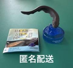 【海洋堂】日本水族館立体生物図録 デンキウナギ