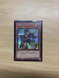 遊戯王 スターチップ シークレット 6枚セット 霊使い ウィン