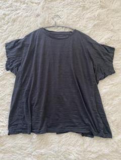 ミーバイイッセイミヤケ　半袖トップス　アイボリー　フリーサイズ ISSEY MIYAKE（Tシャツ(半袖/袖なし)）のフリマアイテム一覧