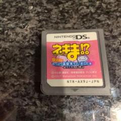 ネギマ!? やっぱり温泉来ちゃいましたぁ