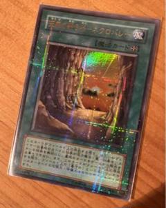 PSA10 極美品　最安値　世界15枚　王家の眠る谷 ネクロバレー　パラレル PSA10 極美品 最安値 世界15枚 王家の眠る谷 ネクロバレー パラレル