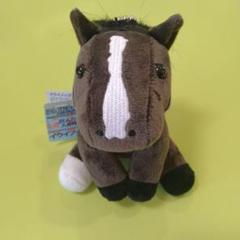 JRA イクイノックス ぬいぐるみ JRAカード入会特典 非売品