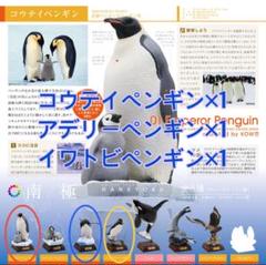 ♯Kvi26CZ ネイチャーテクニカラー 南極 全7種 南極 特装版 The South Pole – ネイチャーテクニカラー公式