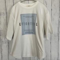 スタディオ クリップ　Tシャツ