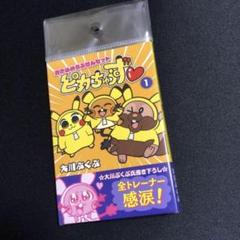 【ポケモン】超貴重! 書き込めるふせんセット ピカちゅうず 大川ぶくぶ