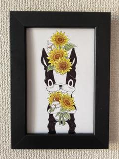 ボストンテリア ひまわり手描きイラスト原画