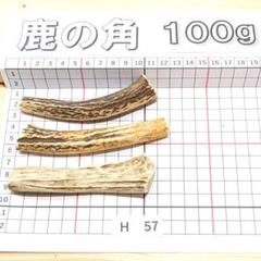 鹿の角 H57 3本セット 100g 兵庫県産 鹿角 鹿のツノ しかつの