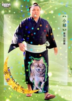 霧島 小結 キラカード版 レギュラーカード BBM 2025 大相撲カード 和