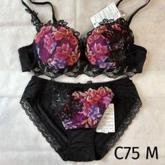 希少✨☆ワコール サルート C75・M☆79G 希少グループ89の店頭のSALE商品のご紹介です。 SXカラー I65