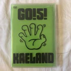 〈極美品〉DVD 木村カエラ/GO!5!KAELAND