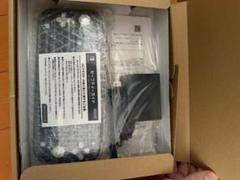 任天堂Switch Lite グレー