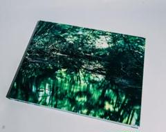 Water Mirror 鈴木　理策 / Risaku Suzuki