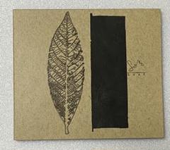 「Leaf」　SONO