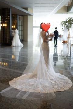 美品　ウェディングドレス ベール付き Demetios Pronovas Products – Vimo Wedding