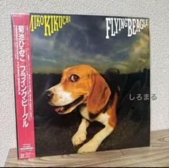 菊池ひみこ 35CH 旧規格 菊池ひみこ 35CH 旧規格 CD