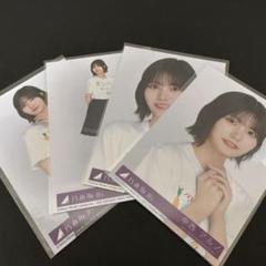 乃木坂46 - 干支生写真　フルコンプ Amazon.co.jp: 乃木坂46 生写真 フルコンプセット Route246 全