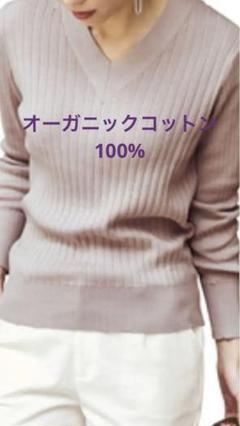 イディット Vネックリブプルオーバー オーガニックコットン100% リブニットのサムネイル