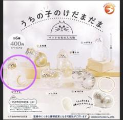 うちの子のけだまだま ガチャ 全6種セット 新品 うちの子のけだまだま ガチャガチャ シャム② - メルカリ