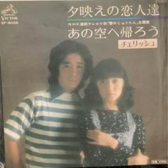 ⑮271 チェリッシュ LP 19タイトル まとめ売り ⑮271 チェリッシュ LP 19タイトル まとめ売り 邦楽