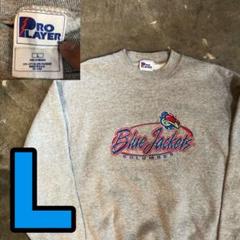 B2198 PROPLAYER Blue Jackets スウェット　刺繍　古着