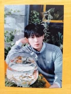 2025年最新】SEVENTEEN 消費期限 プリントフォト ミンギュの人気