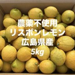 農薬不使用 レモン 広島県産 5kgのサムネイル
