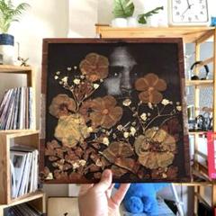BUS DRIVER Fear of a Black Tangent レコード