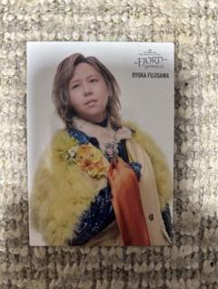 Mrs. GREEN APPLE フィヨルド藤澤涼架フォトカード028