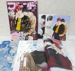 たまらないのは恋なのか∥雑誌∥切り抜き - メルカリ