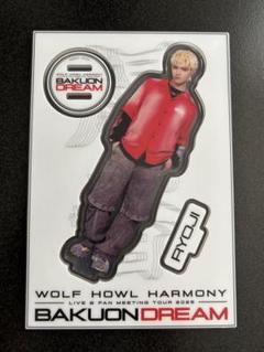 ウルフハウルハーモニー 杉山亮司 パネル 新品 未使用 2025年最新】WOLF howl harmonyの人気アイテム - メルカリ