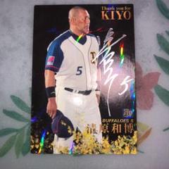 プロ野球チップスカード 2009のサムネイル