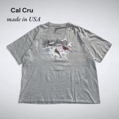 FA-047 Cal Cru USA製 鳥と雪景色のアートTシャツ XXL