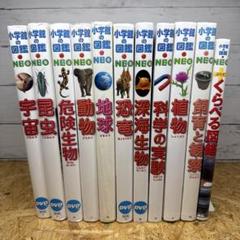 小学館の図鑑NEO 11冊セット 【バラ売り不可】