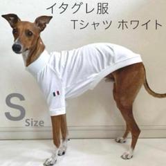 イタグレ服　ハンドメイド　しずく イタグレ服」のアイデア 19 件【2025】 | イタグレ, 服, 犬 服