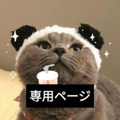 2025年最新】クリスチャンルブタン保存袋の人気アイテム - メルカリ