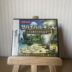 サバイバルキッズ 小さな島の大きな秘密!？ DS ソフト