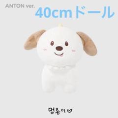 2025年最新】RIIZE ぬいぐるみ 40の人気アイテム - メルカリ