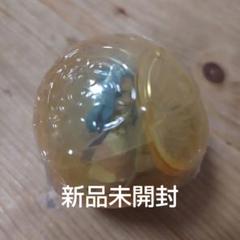 ワンピの実 第二十二海戦 ビビ