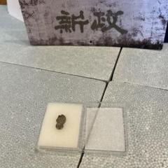 新政　頒布会　ノベルティピンバッジセット 新政 ノベルティセット （新政頒布会 ノベルティ 生々し セット）