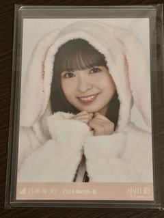 乃木坂46 生写真 小川彩 アニマルルームウェア ヨリ