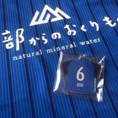 カターレ富山 碓井鉄平選手 アクリルキーホルダー アクリルスタンドのサムネイル