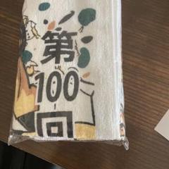2024夏甲子園タオルセット 2024 夏 甲子園 高校野球 全出場校名入りフェイスタオル 大会